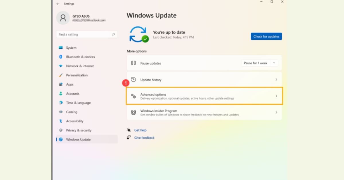 Windows Update Advanced options screen in Windows 11