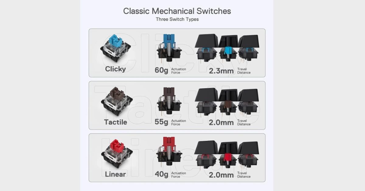 Best Blue Switch Options in 2026